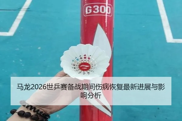 ma-long-shi-ping-sai-bei-zhan-qi-jian-shang-bing-hui-fu-zui-xin-jin-zhan-yu-ying-xiang-fen-xi-2-324.jpg
